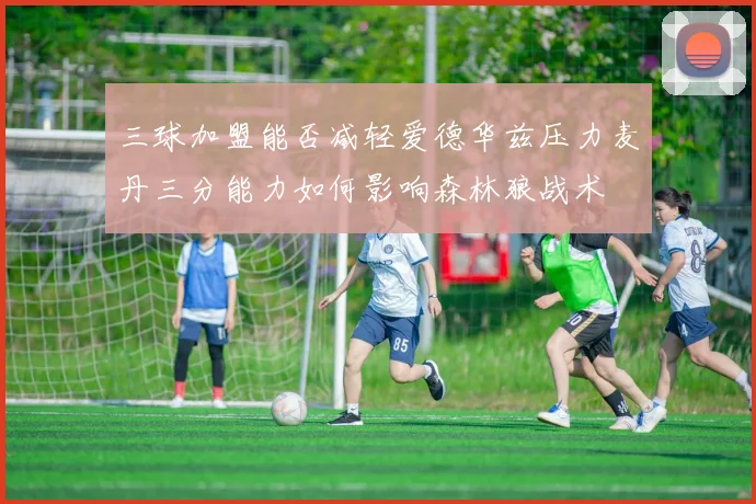 三球加盟能否减轻爱德华兹压力麦丹三分能力如何影响森林狼战术